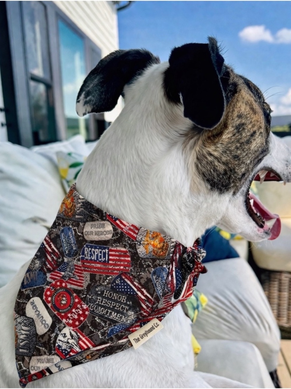 Patriotic Honor & Respect Scrunchie Dog Bandana - Red, Blue, Black